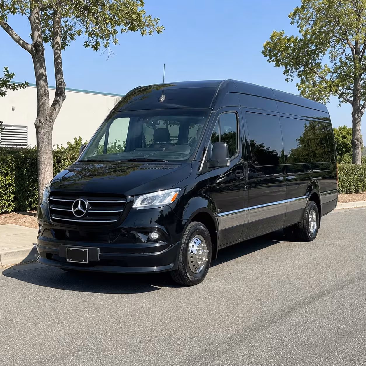 sprinter van with driver